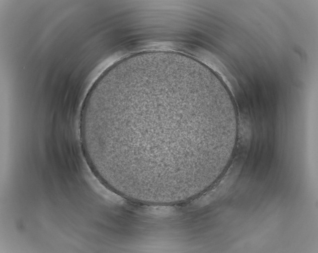 X0000111011090200907171829