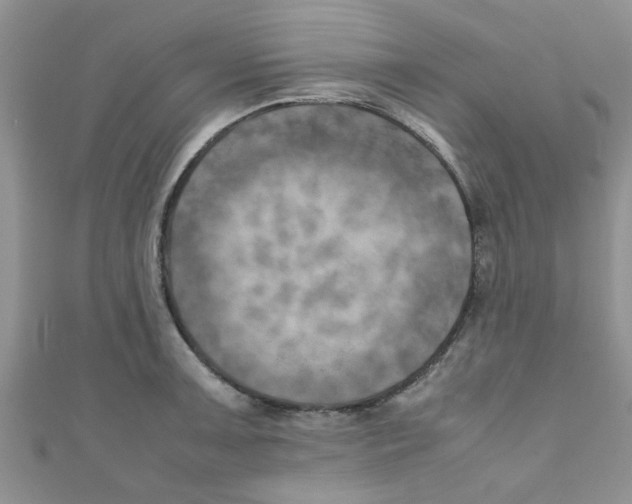 X0000111011091200907171829