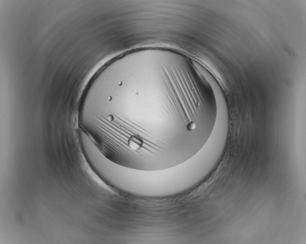 X0000111011092200907171829