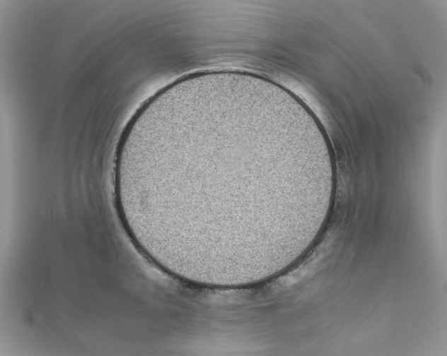 X0000111011093200907171829