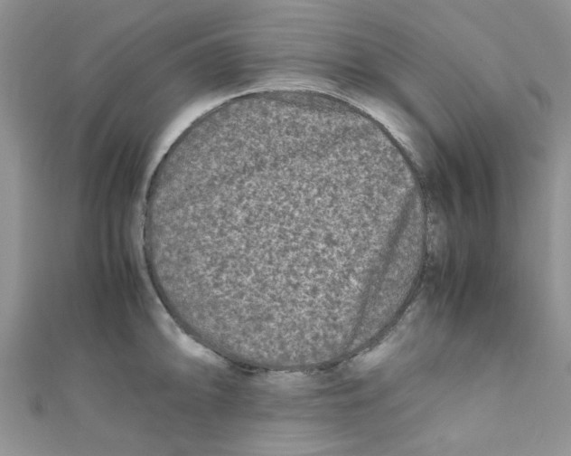 X0000111011094200907171829