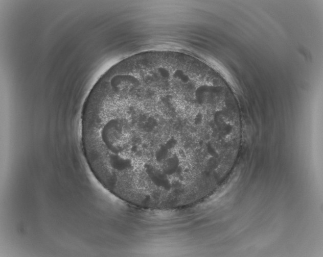 X0000111011095200907171829