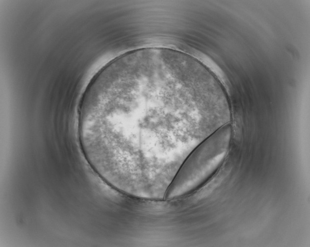 X0000111011096200907171829