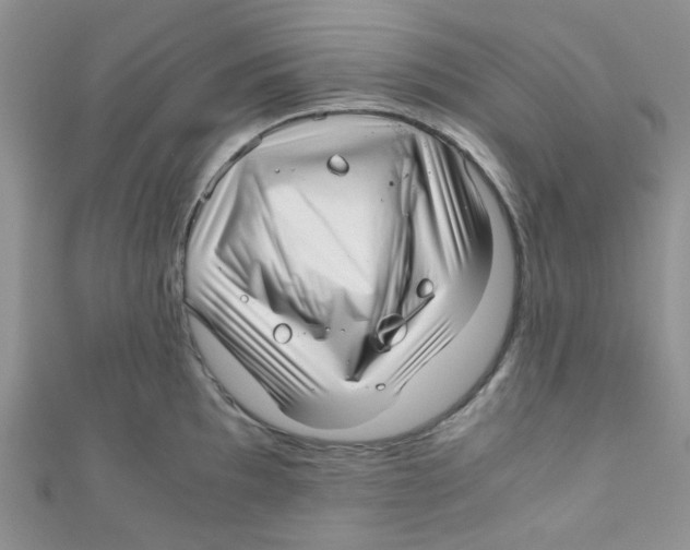 X0000111011097200907171829