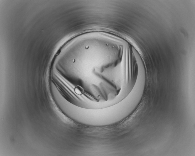 X0000111011098200907171829