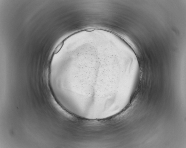 X0000111011100200907171829