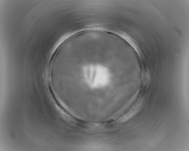 X0000111011101200907171829