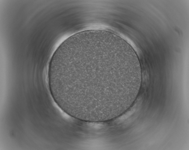 X0000111011103200907171829