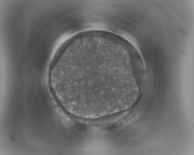 X0000111011104200907171829