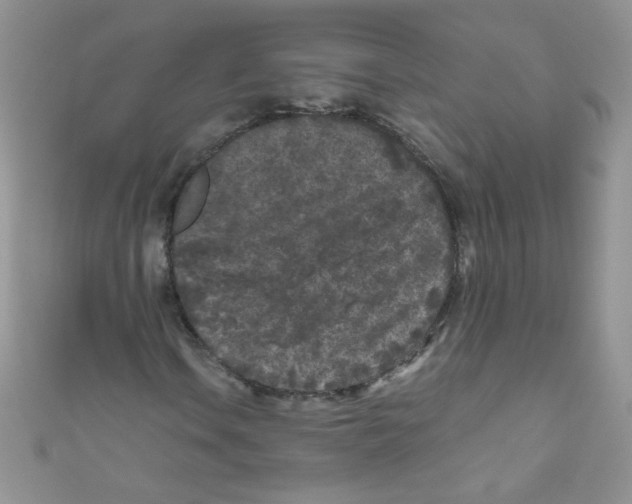 X0000111011106200907171829