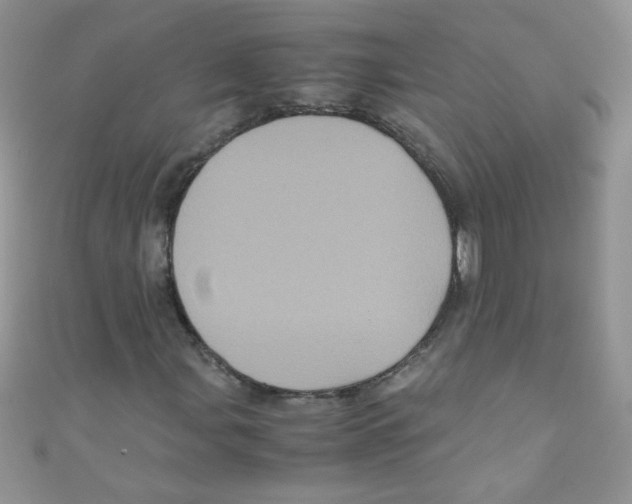 X0000111011107200907171829