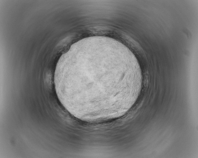X0000111011108200907171829