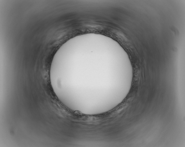 X0000111011109200907171829