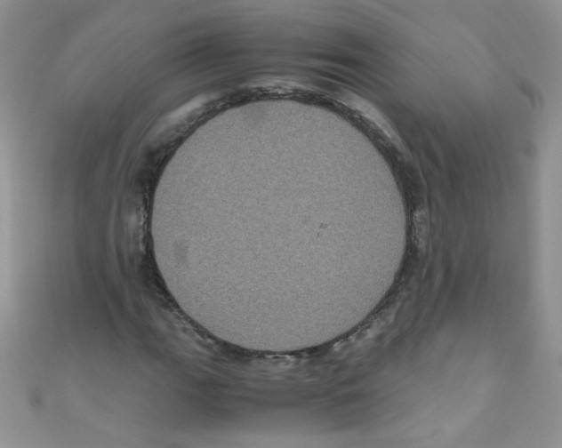 X0000111011111200907171829