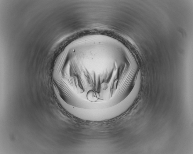 X0000111011112200907171829