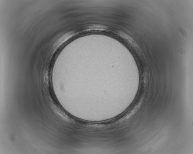 X0000111011113200907171829