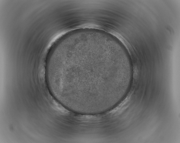 X0000111011115200907171829