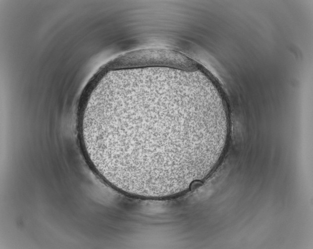 X0000111011116200907171829