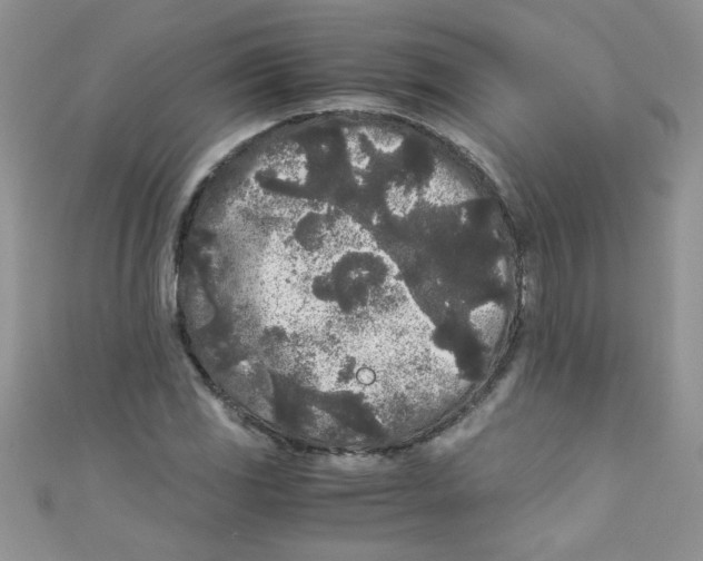 X0000111011117200907171829