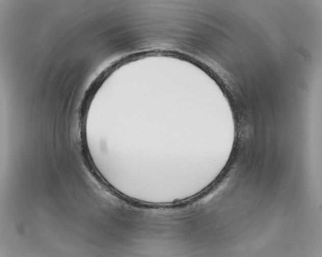 X0000111011118200907171829