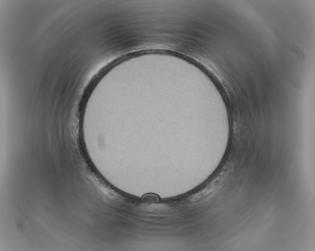 X0000111011119200907171829