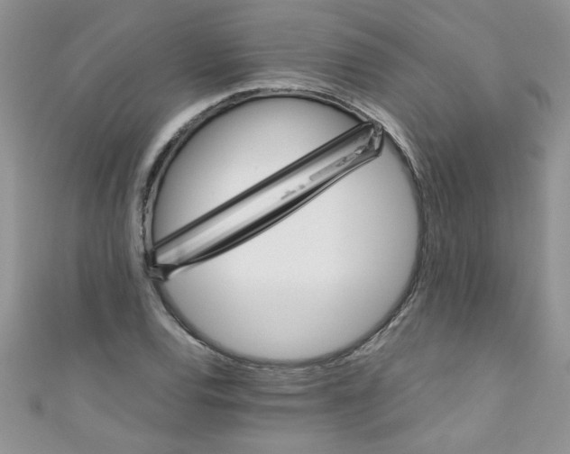 X0000111011120200907171829