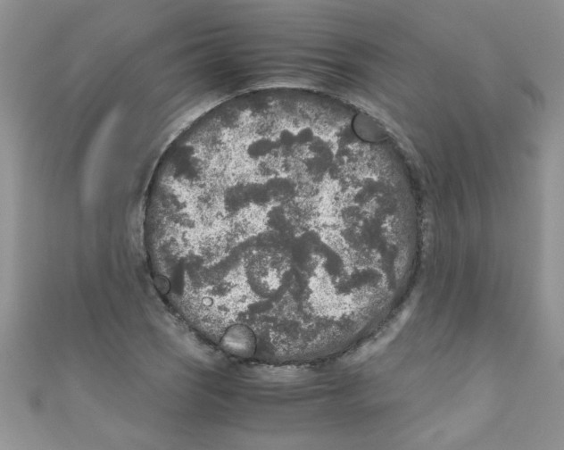 X0000111011121200907171829
