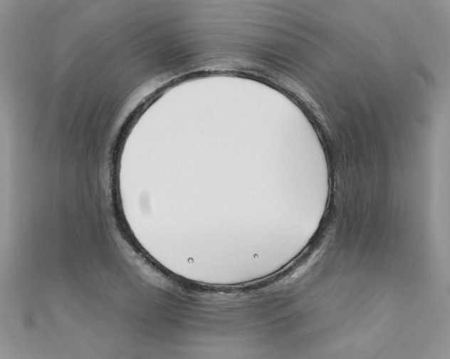 X0000111011122200907171829