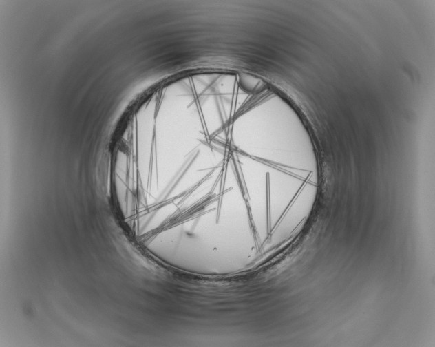 X0000111011123200907171829