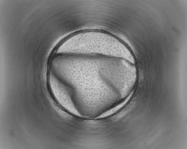 X0000111011124200907171829