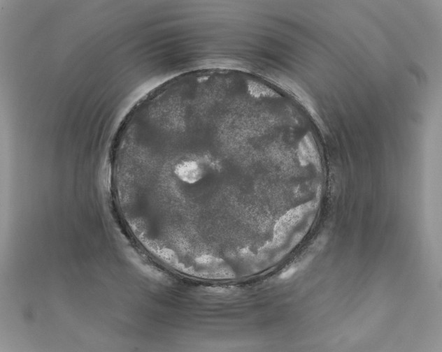 X0000111011125200907171829