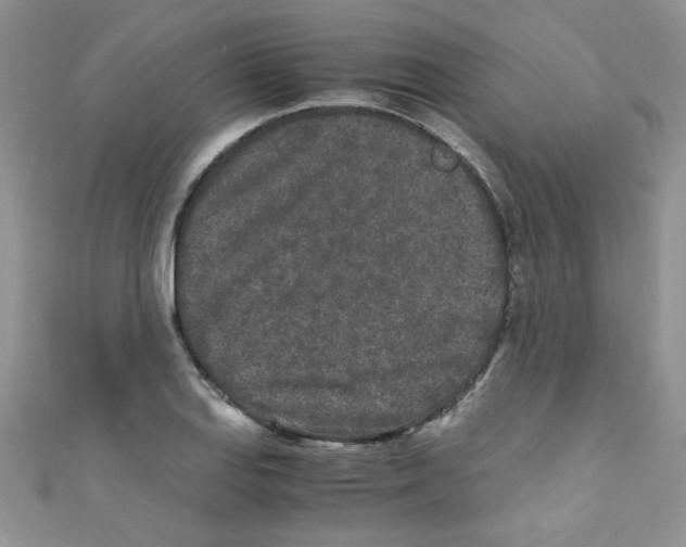 X0000111011127200907171829