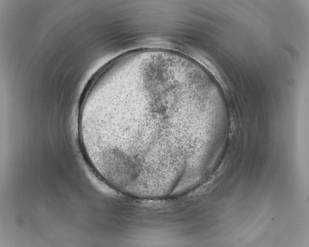 X0000111011128200907171829