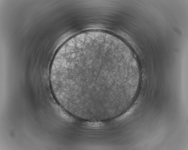 X0000111011129200907171829