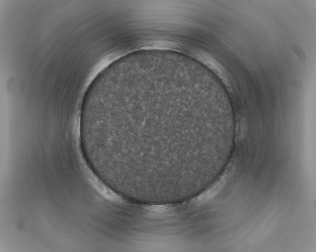 X0000111011130200907171829