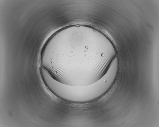 X0000111011132200907171829