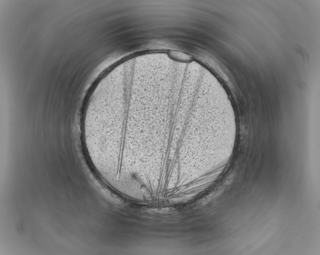 X0000111011133200907171829
