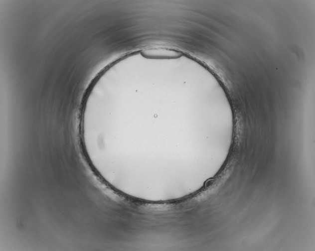 X0000111011134200907171829