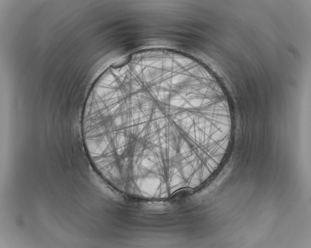 X0000111011137200907171829