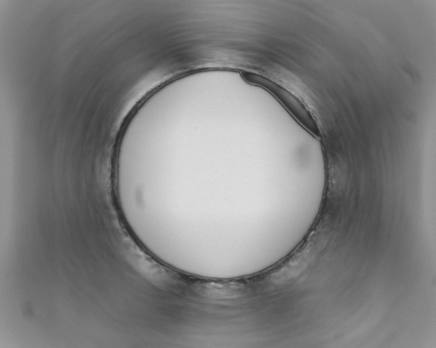 X0000111011138200907171829