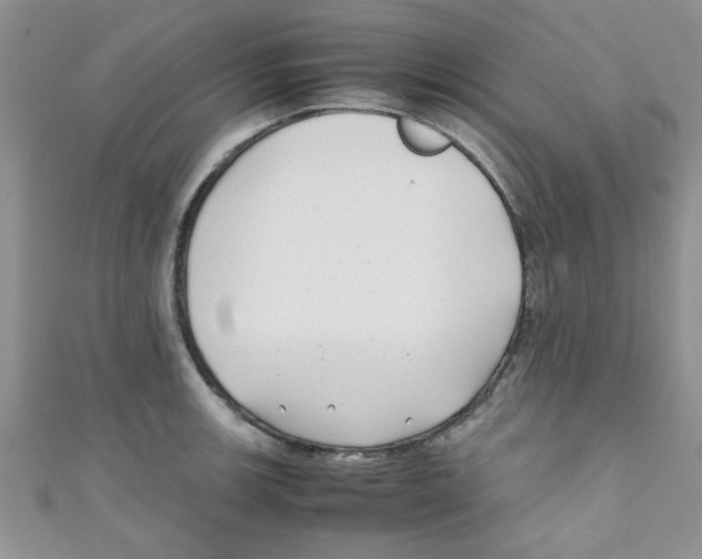 X0000111011139200907171829