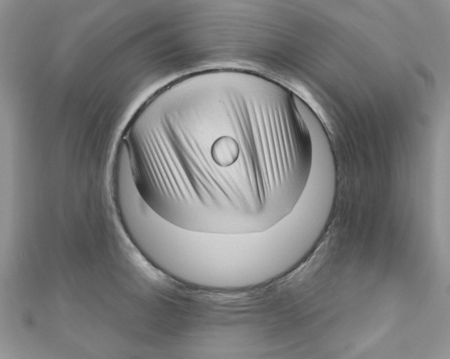 X0000111011140200907171829