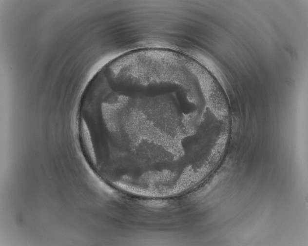 X0000111011141200907171829