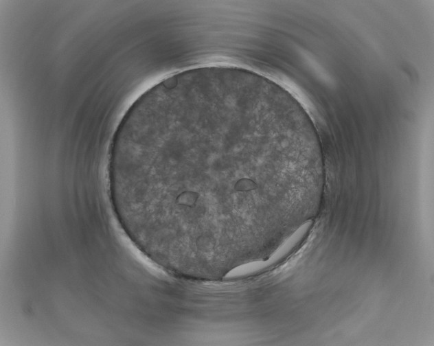 X0000111011142200907171829