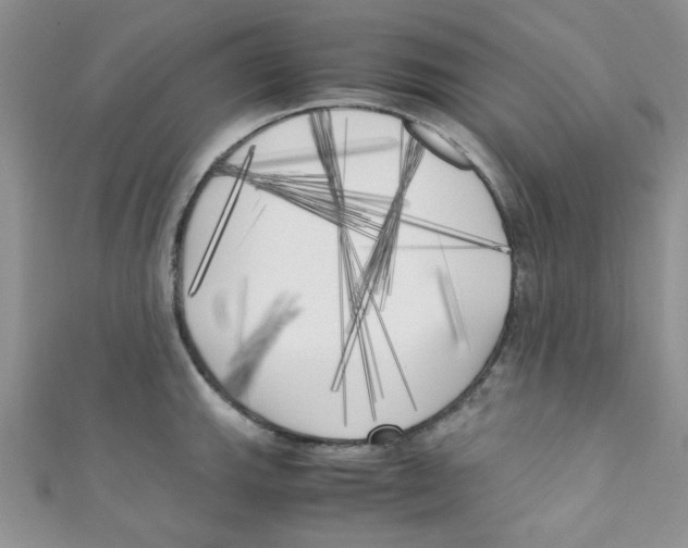 X0000111011143200907171829