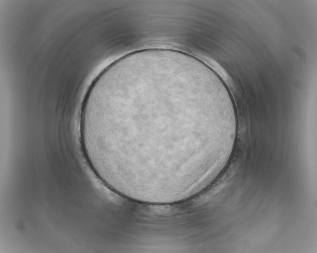 X0000111011144200907171829