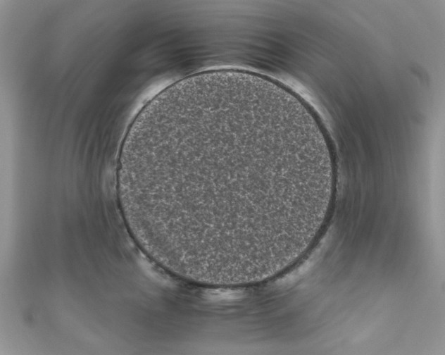 X0000111011145200907171829