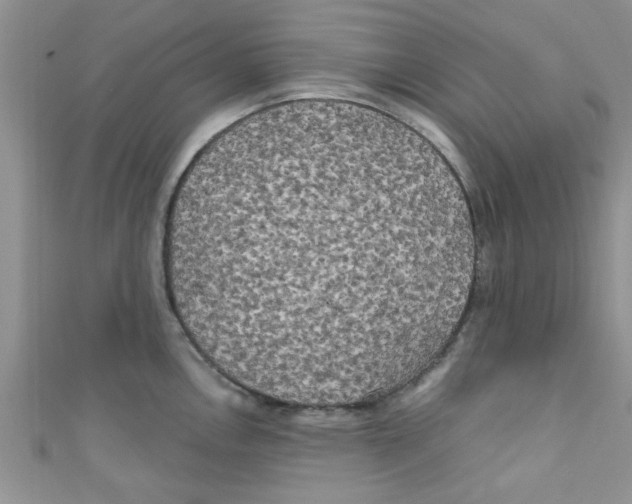 X0000111011146200907171829
