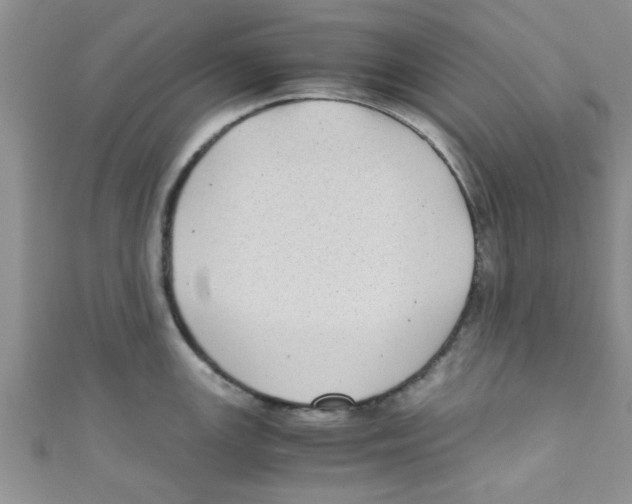 X0000111011147200907171829