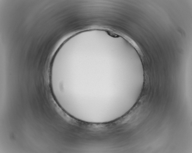 X0000111011148200907171829